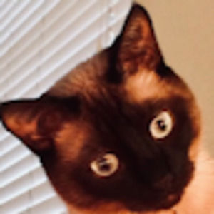 Meet your Posher, Cecil